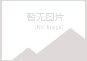 麟游县代真冶炼有限公司